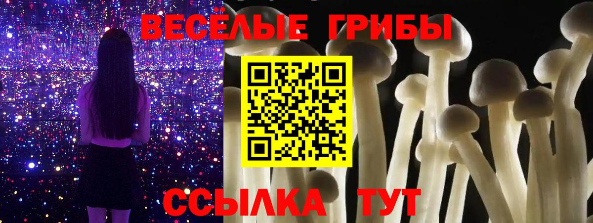 Новочебоксарск  Псилоцибиновые грибы Psilocybine cubensis  Псилоцибиновые грибы Psilocybine cubensis  наркошоп  Вход с VPN 