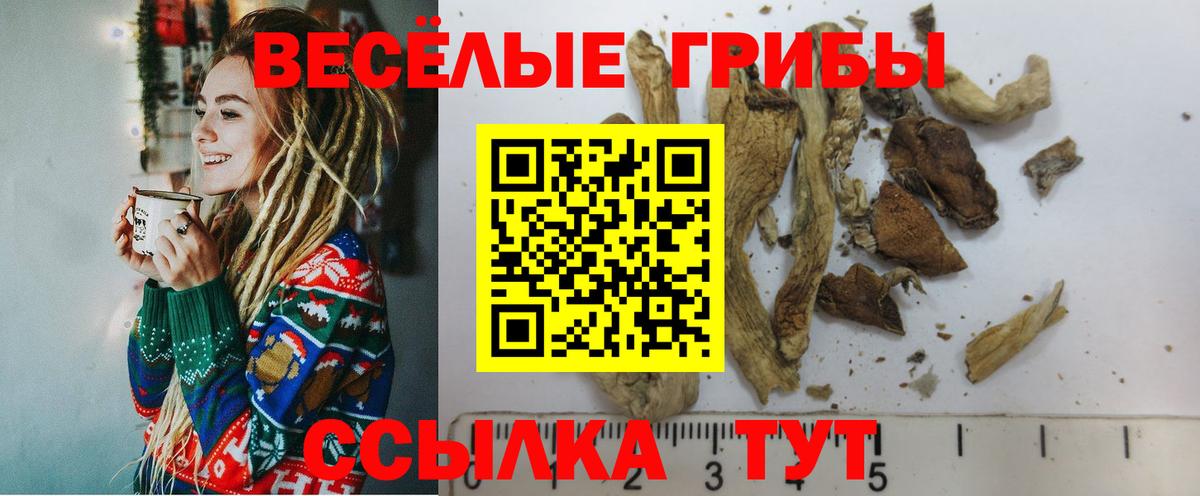 NBOMe  Cocaine  Новочебоксарск  A-PVP СОЛЬ   ГАШИШ  МЕТАМФЕТАМИН  Лсд 25  МАРИХУАНА  ГАШ  Мефедрон кристаллы  Вход с VPN 