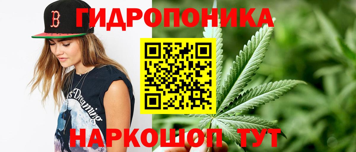Бошки марихуана Amnesia Новочебоксарск